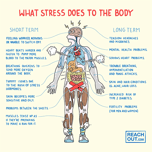 What stress does to our body